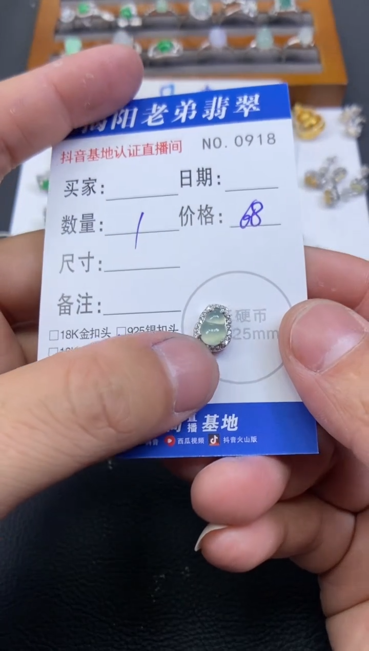 【闪购商品】翡翠颈饰银S925镶嵌多样性发其中一件