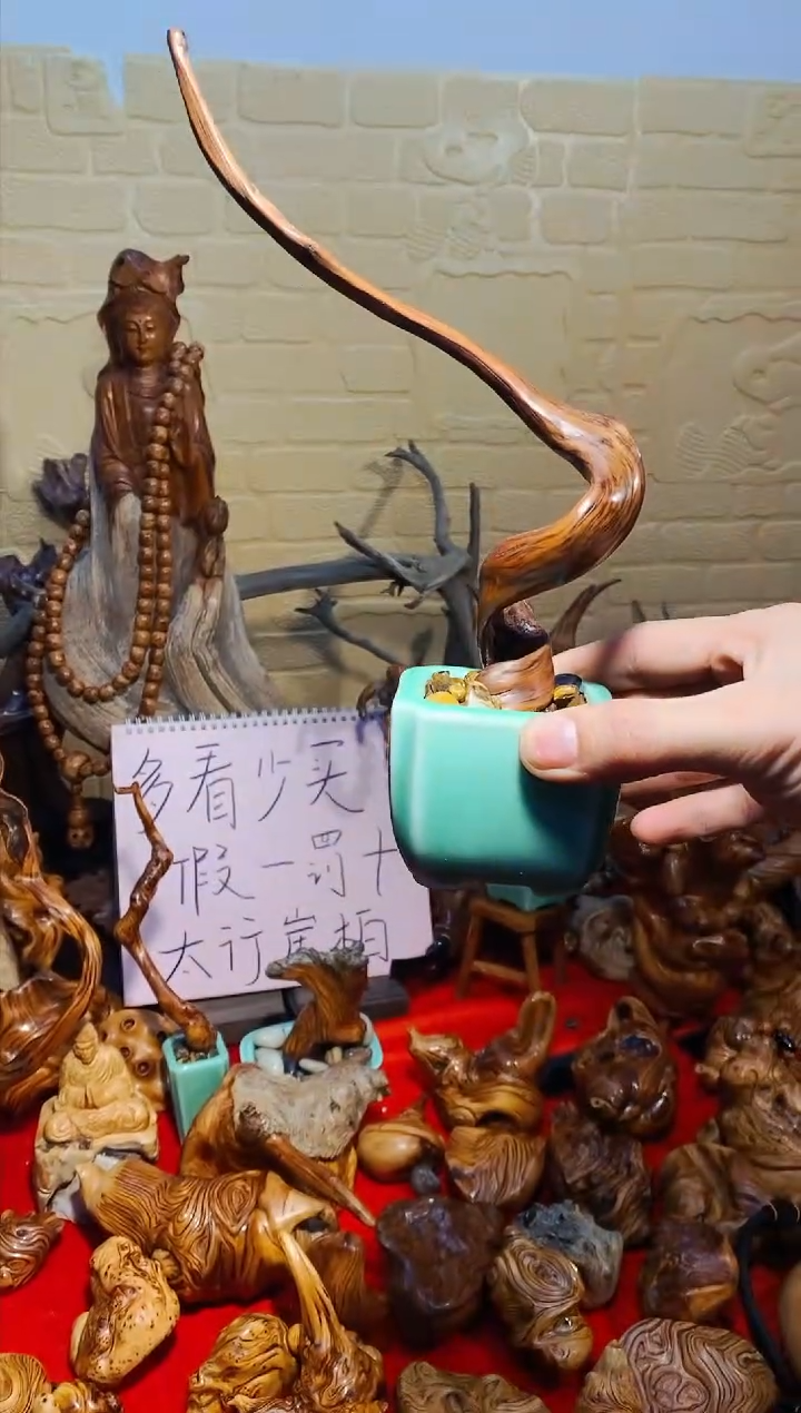 【闪购商品】柏木13崖柏崖柏崖柏崖柏崖柏