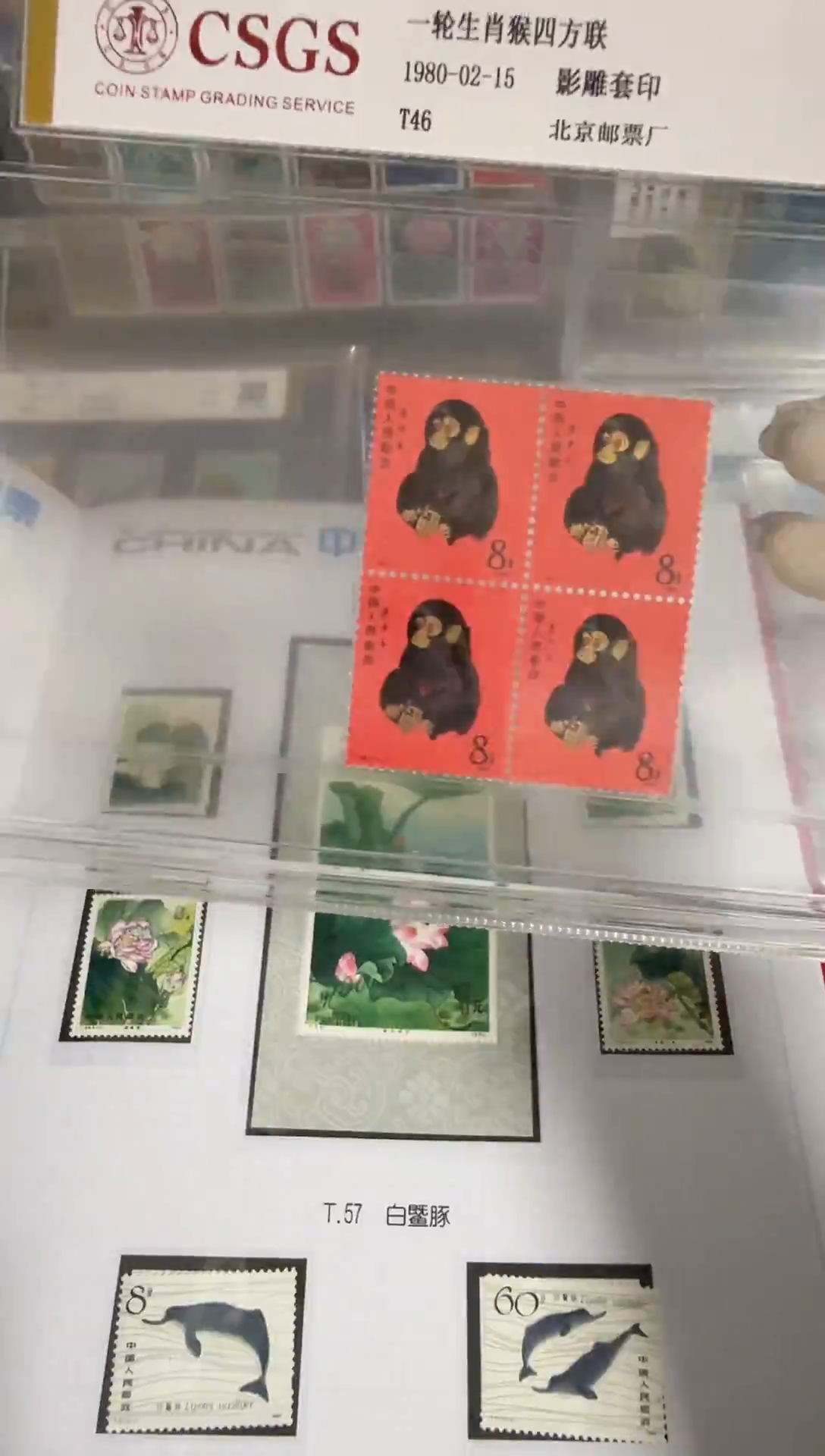 t46 方联  原胶全品