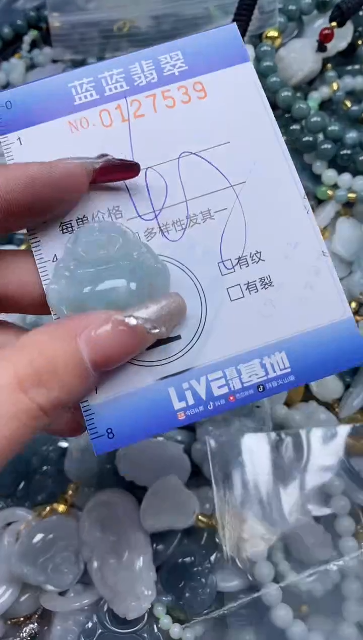 【闪购商品】翡翠颈饰未镶嵌闪购0127539