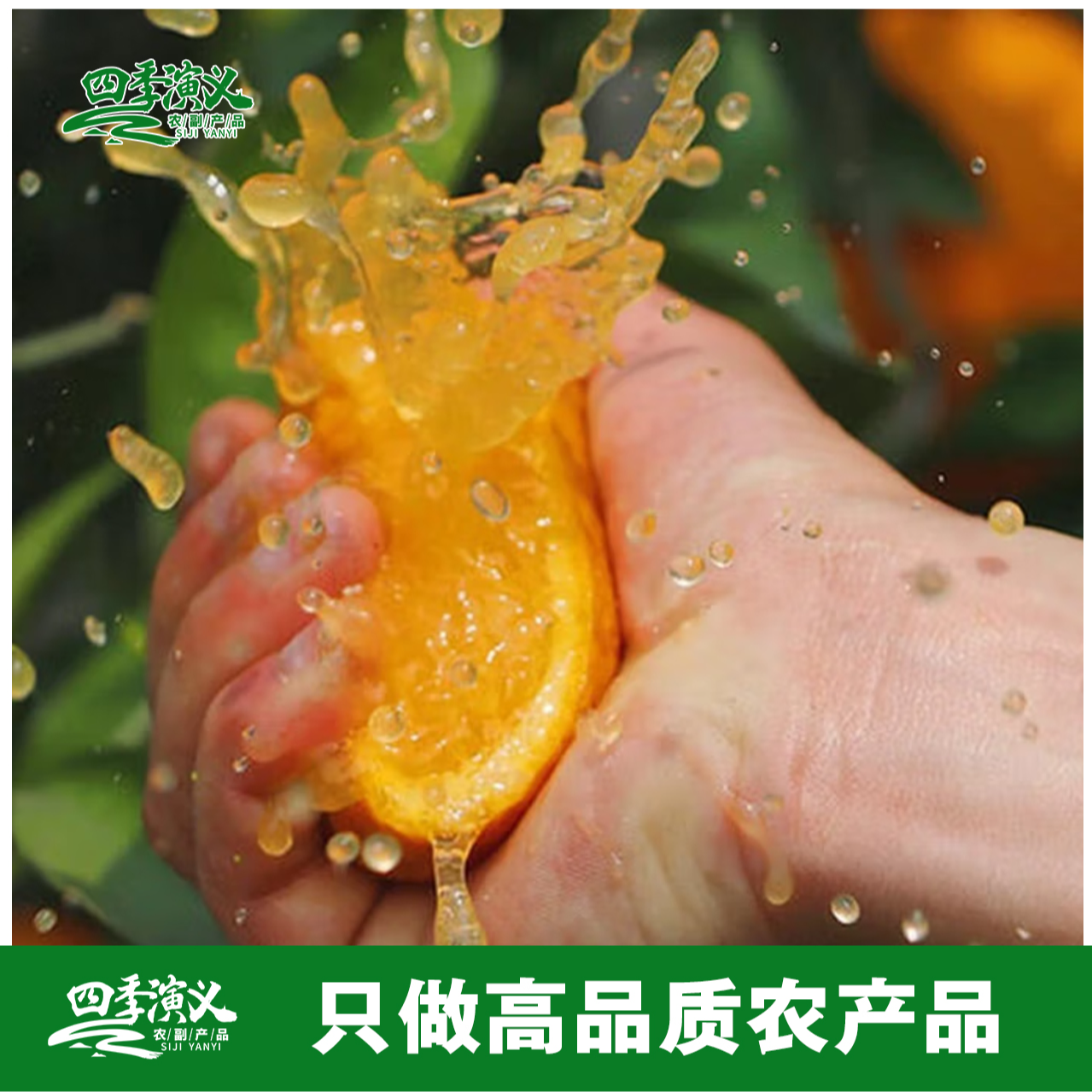 【小支书助农】赣南脐橙新鲜采摘橙味十足皮薄脆甜赣南核心产地直发