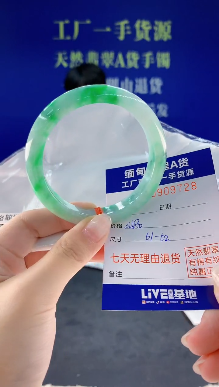 未镶嵌手镯翡翠28