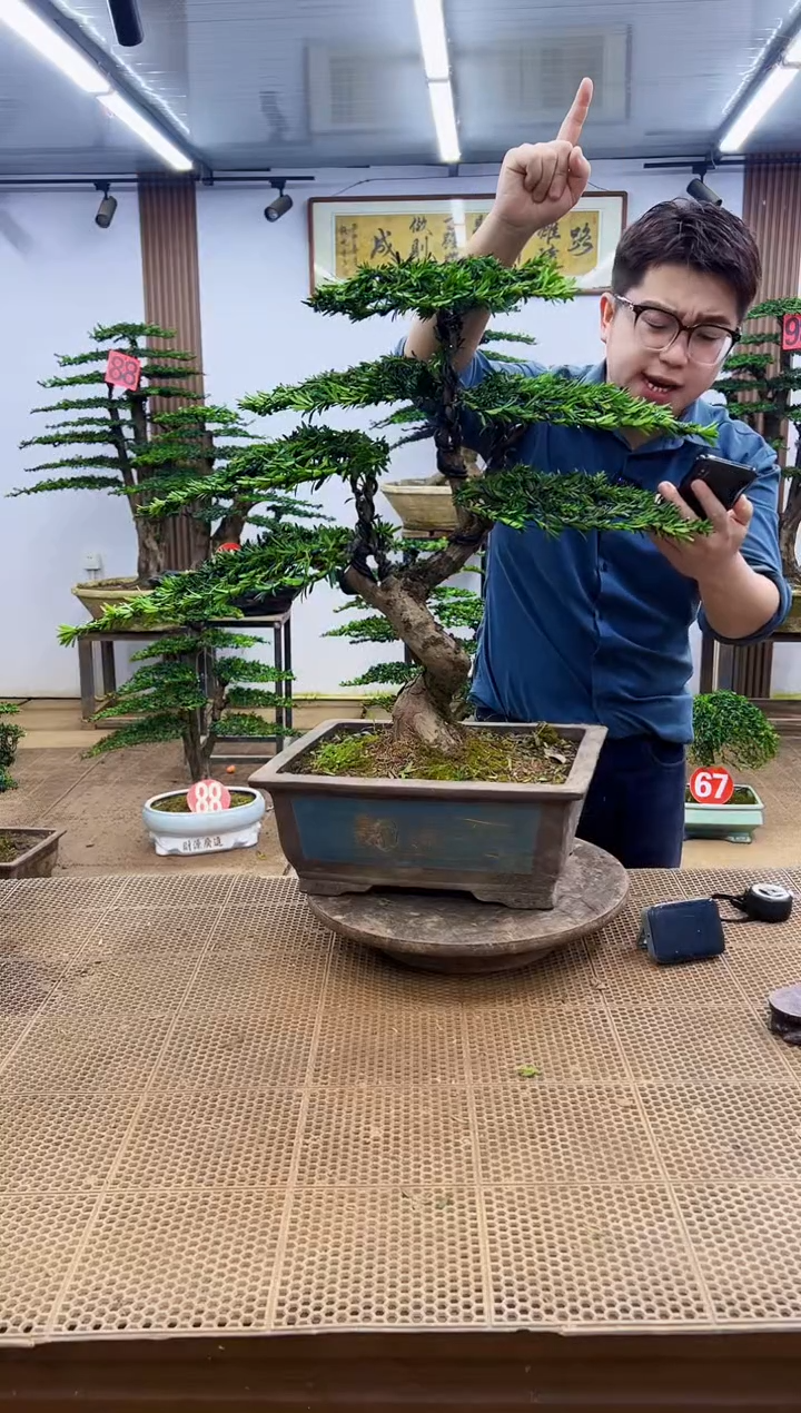 无花朵一物一拍，所见即所得