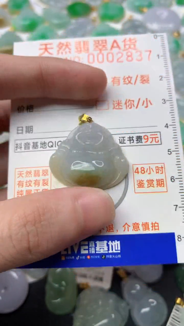 【闪购商品】翡翠颈饰18K金镶嵌5.............