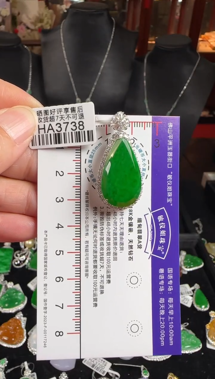 颈饰18K金镶嵌翡翠HA3738冰绿滴水