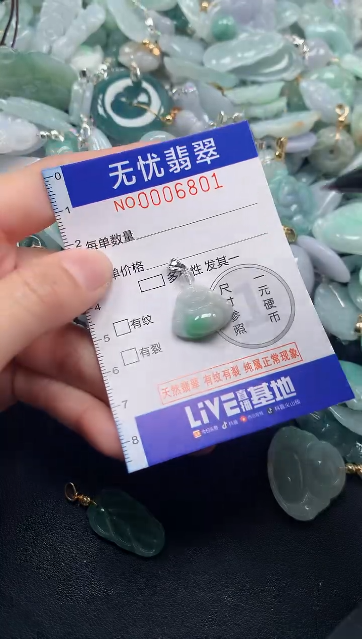颈饰未镶嵌翡翠6801
