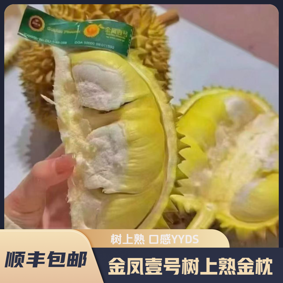 【云贵川渝粤金凤壹号A果❷】泰国树熟金枕榴莲生劈不售后顺丰包邮JX