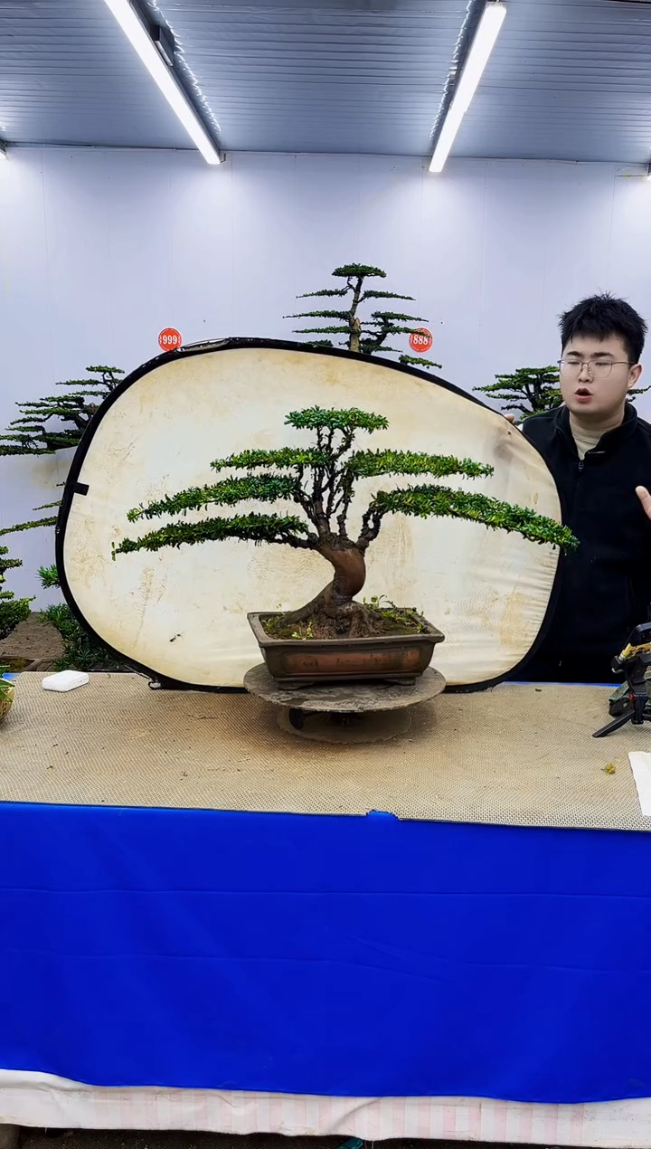 完全开放一物一拍，所见即所得