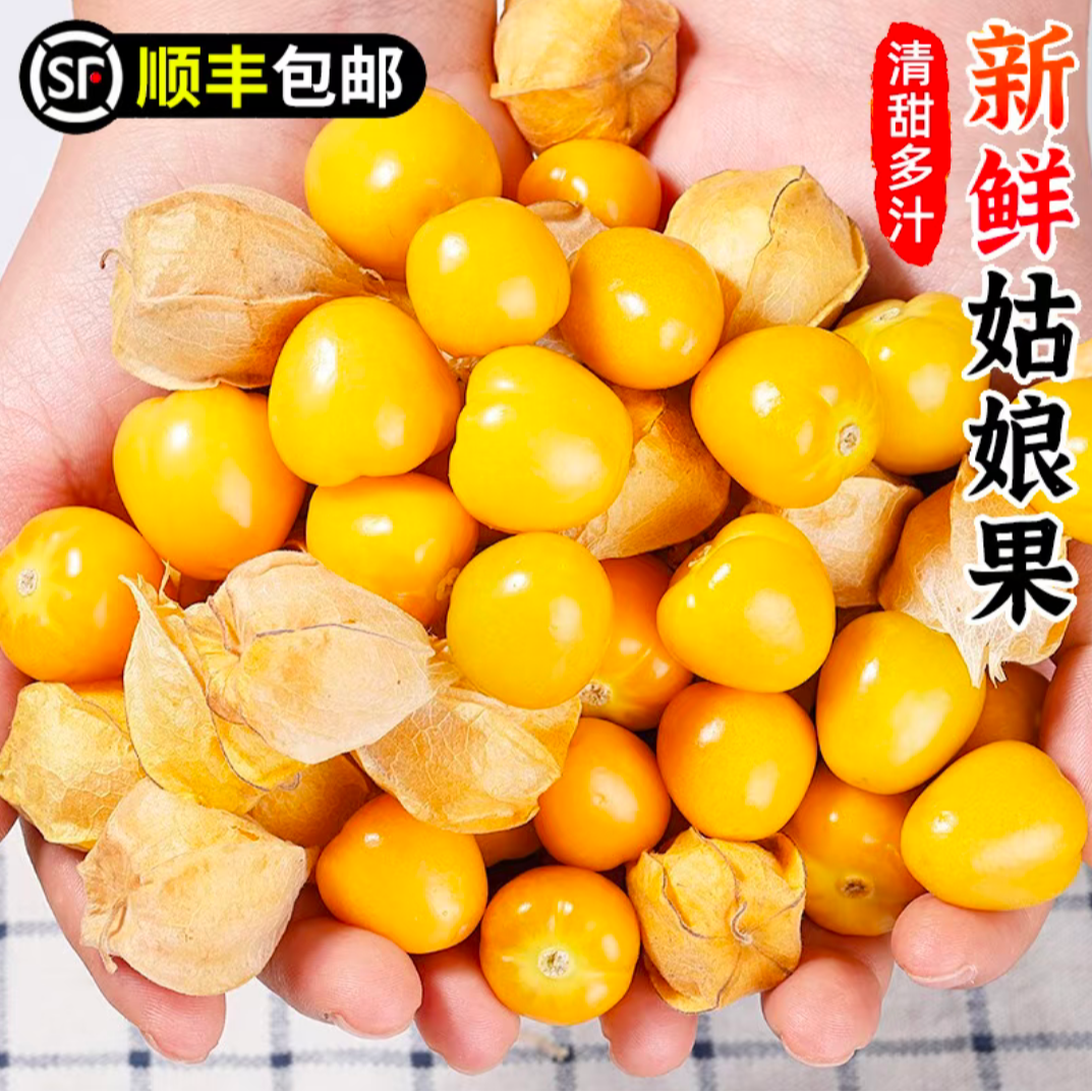 雪景[顺丰]东北姑娘果250g/1斤/2斤/3斤/5斤黄菇娘灯笼果甜小金豆