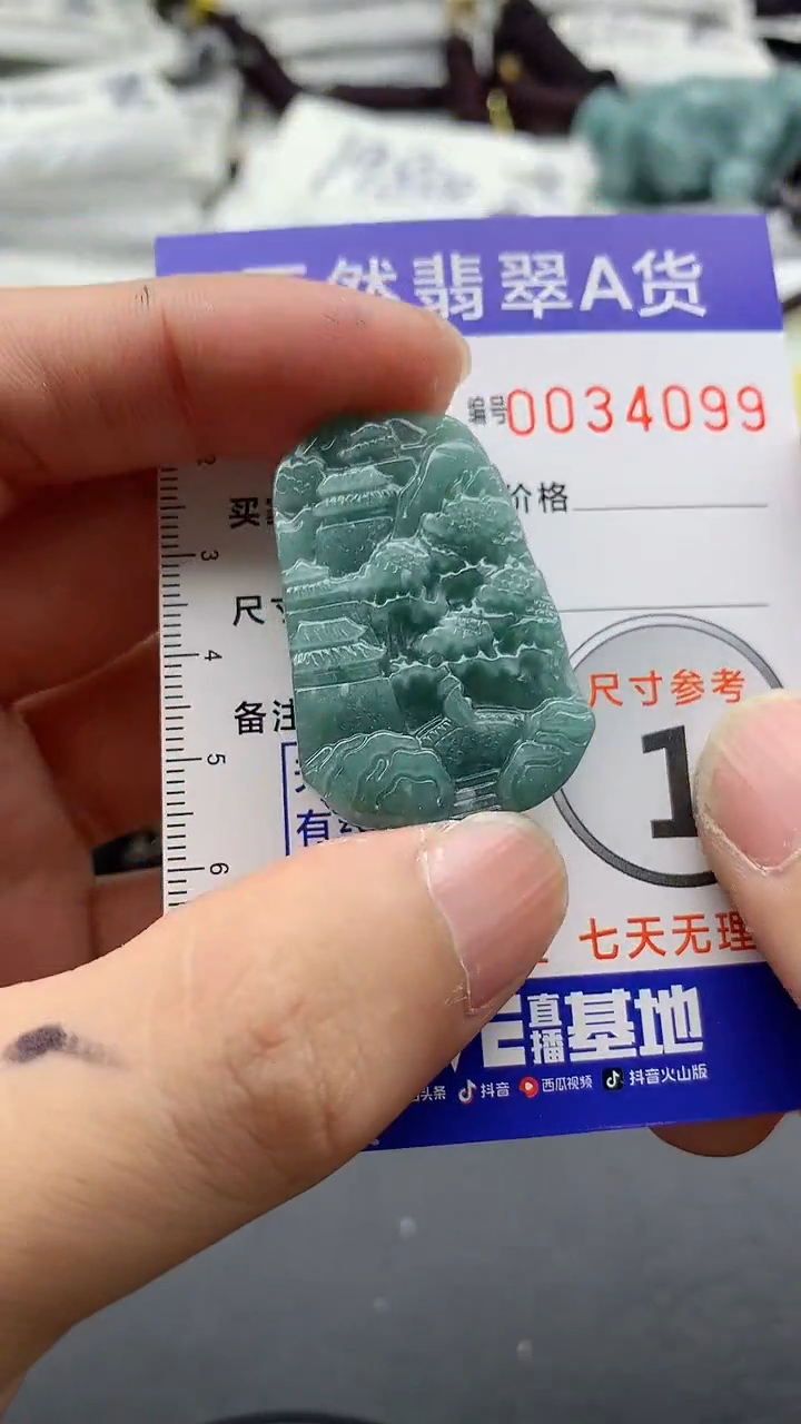 【闪购商品】翡翠未镶嵌颈饰555555555555