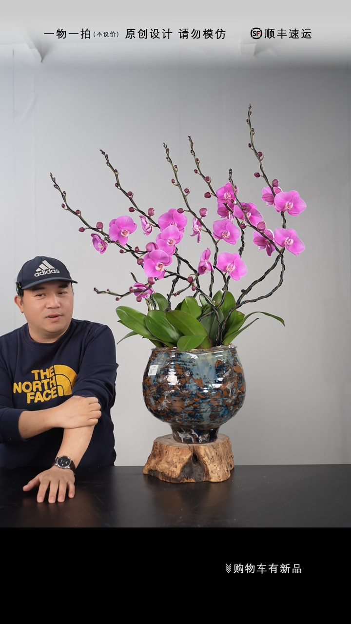 【闪购商品】048号链接【一物一拍】艺术盆景