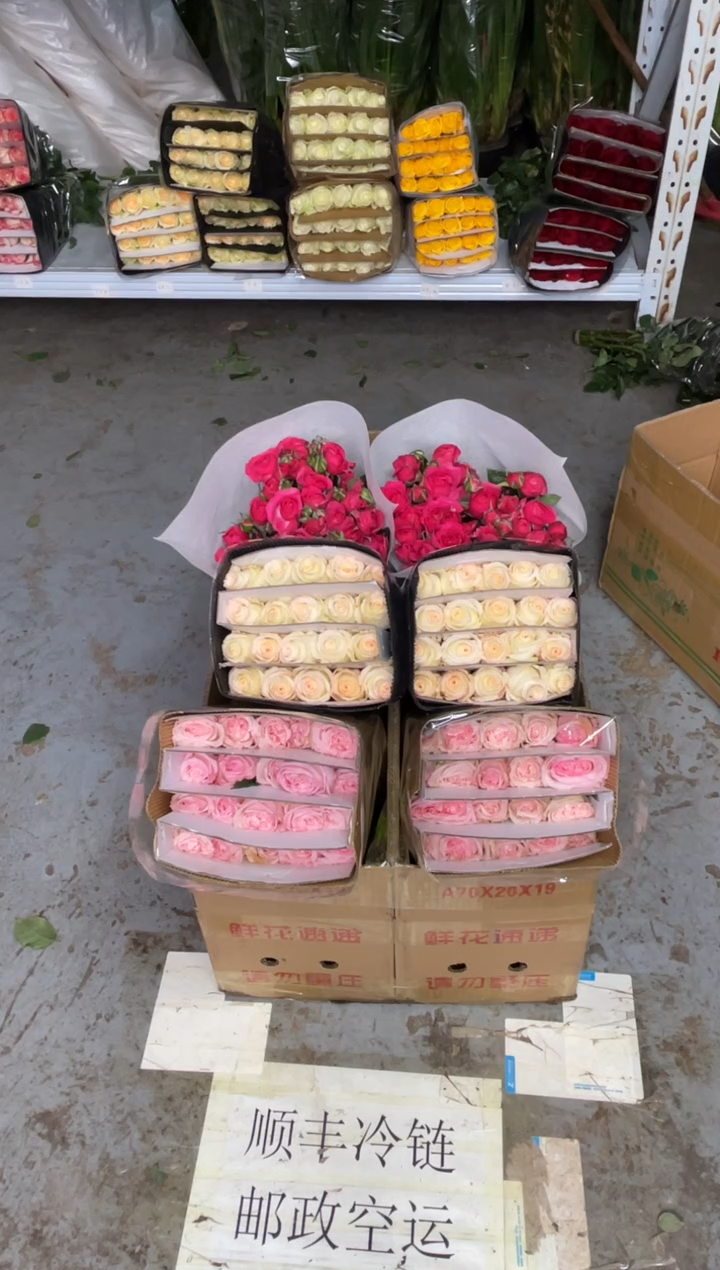 粉荔枝20枝+小白兔20枝+苏菲10枝