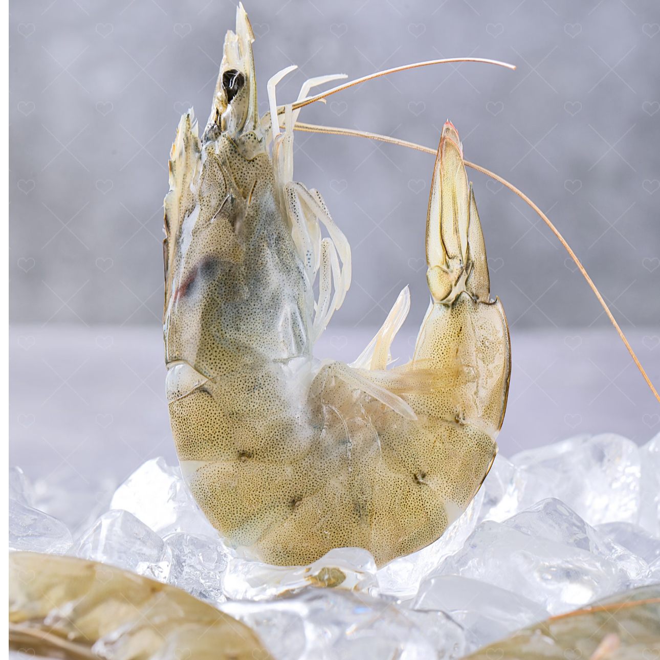 （只发新疆）南美对虾海捕青虾速冻锁鲜冷链包邮肉质鲜美