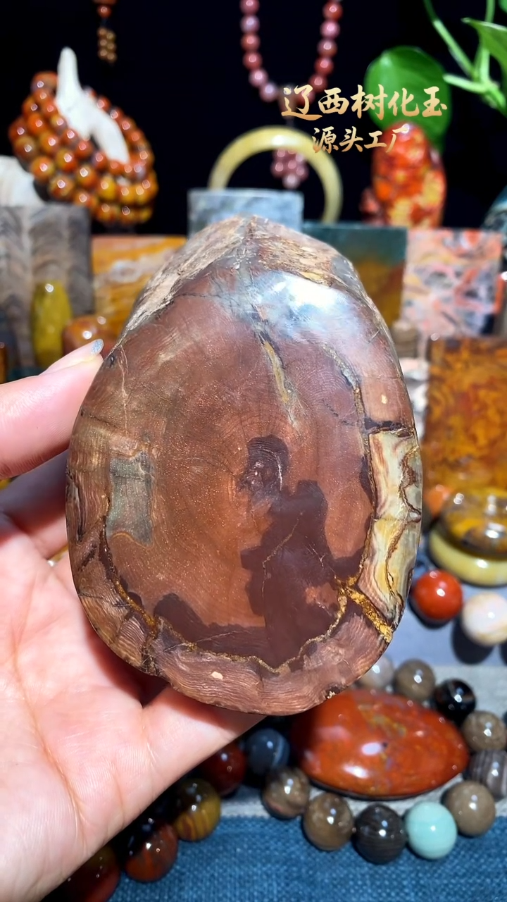 未镶嵌-硅化玉天然北票硅化玉原石