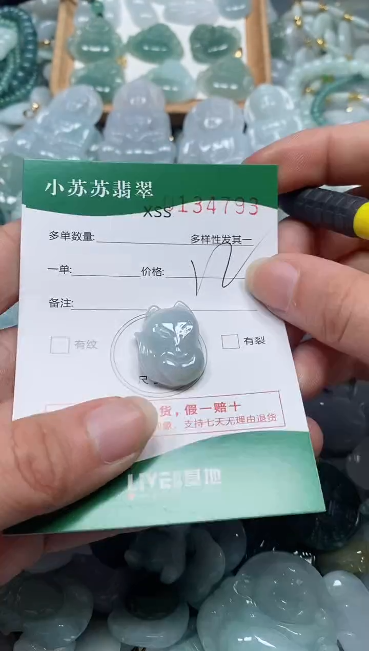 【闪购商品】翡翠颈饰未镶嵌闪购商品0134793