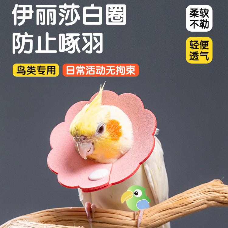 九九小鹦鹦鹉伊丽莎白圈项圈防啃咬细项圈挂脖