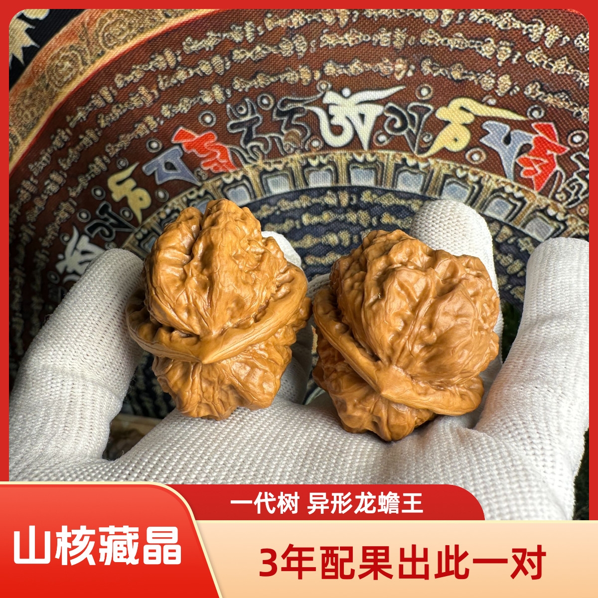 山核藏晶一代树 异形龙蟾王3年出一对蛤蟆头 新果蛙王边39 肚44