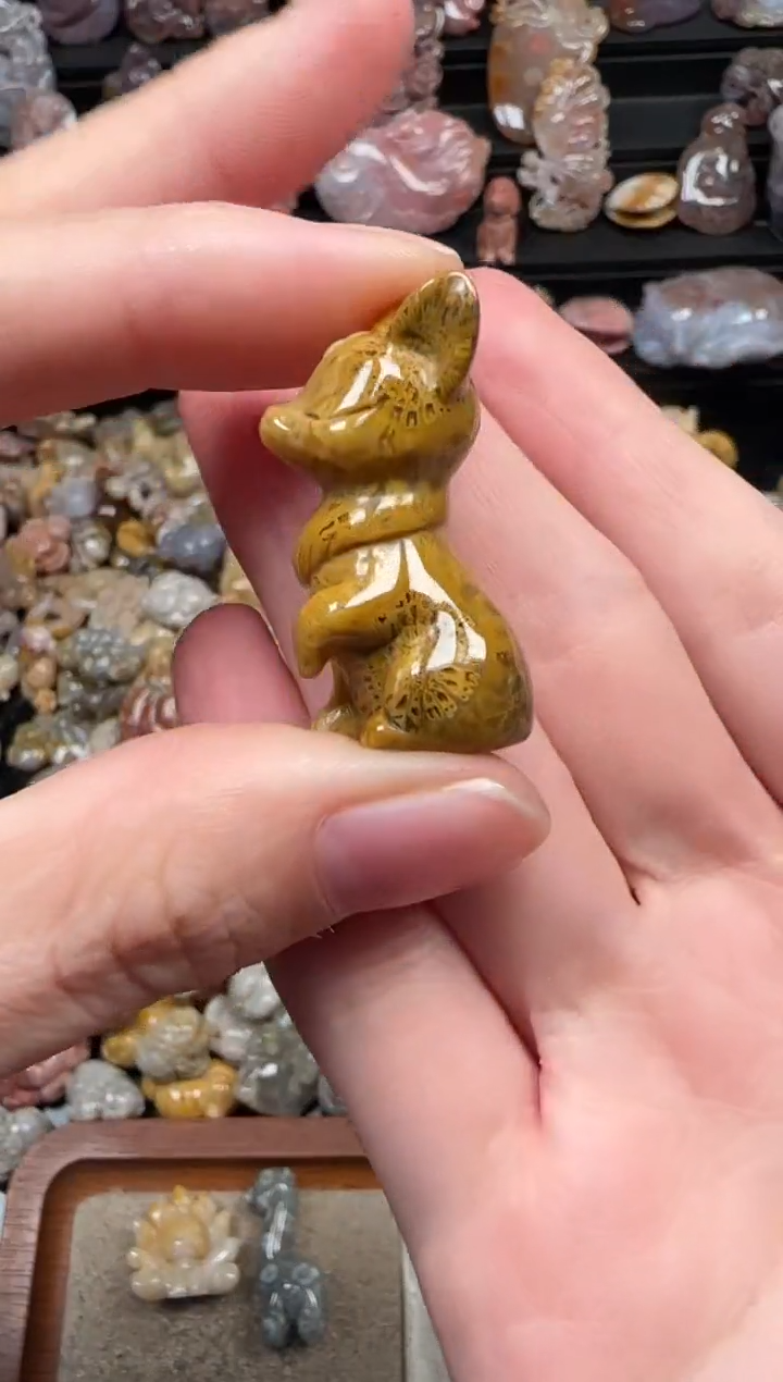 颈饰未镶嵌硅化珊瑚（珊瑚玉）209