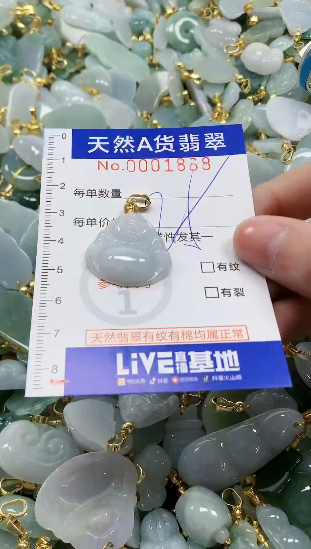 颈饰未镶嵌翡翠纯天然a货翡翠