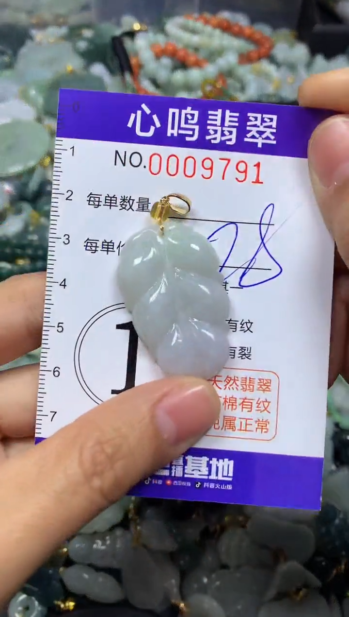 【闪购商品】翡翠颈饰未镶嵌闪购009791