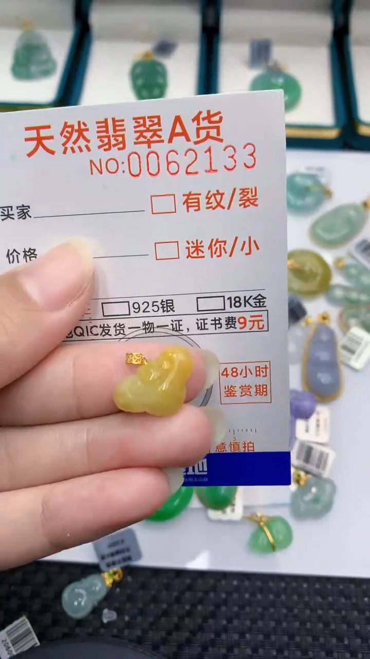 【闪购商品】翡翠颈饰18K金镶嵌            8
