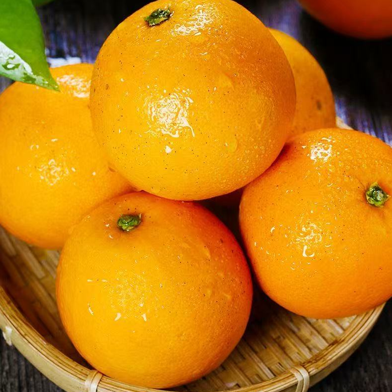 H11新鲜当季水果手剥麻阳冰糖橙果肉细腻多汁带箱10斤装单果60mm+