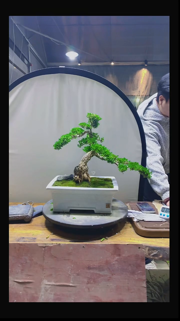 完全开放用**跑111111111111111