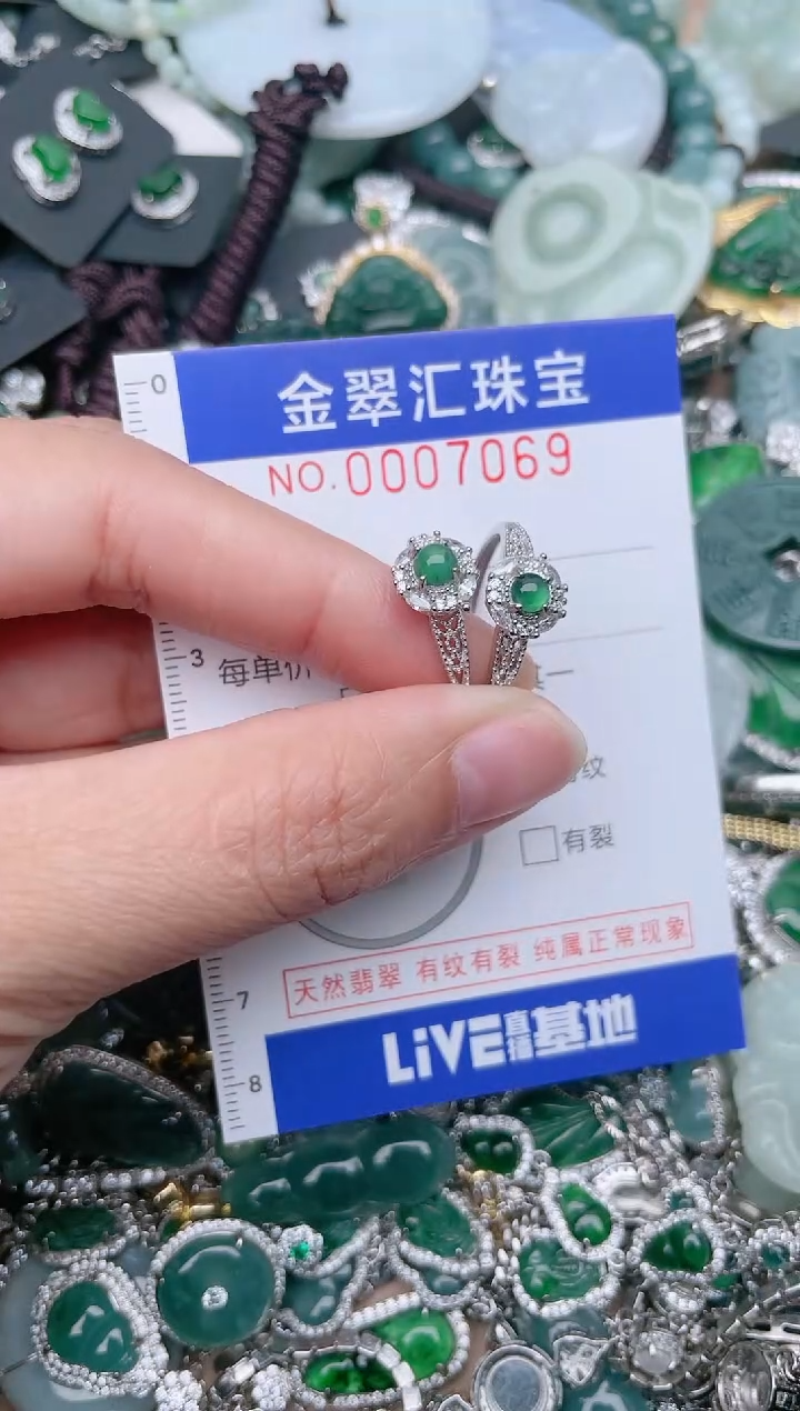 【闪购商品】翡翠颈饰未镶嵌7069........1