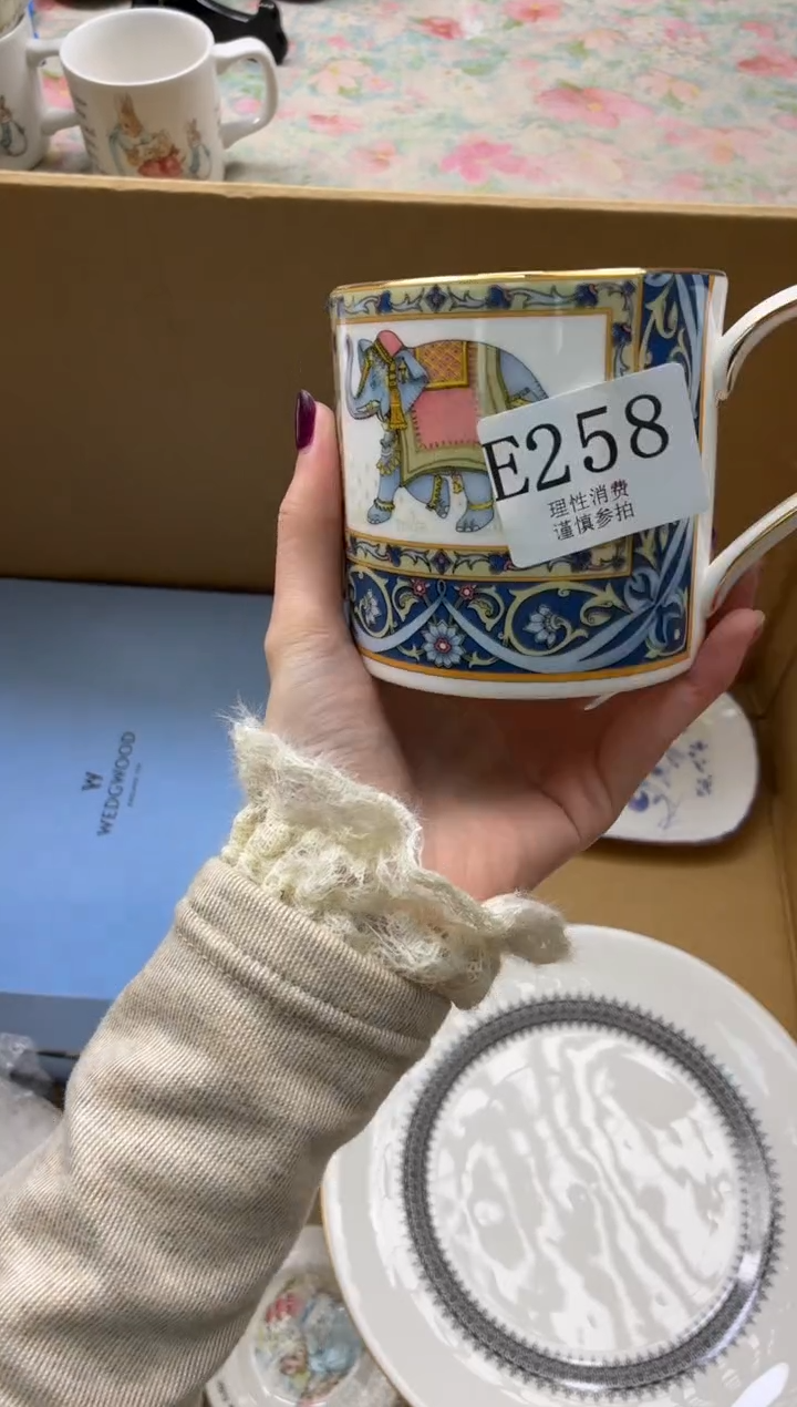 瓷片芒*笨       E258