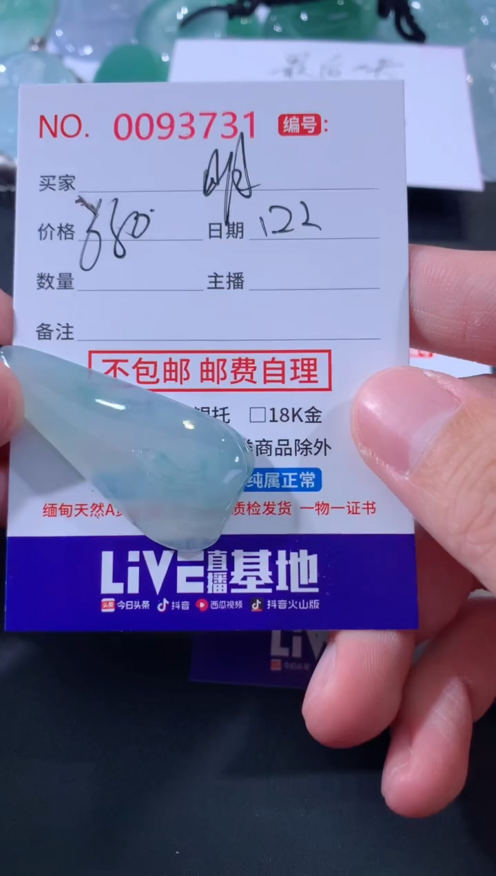 【闪购商品】翡翠颈饰未镶嵌明天