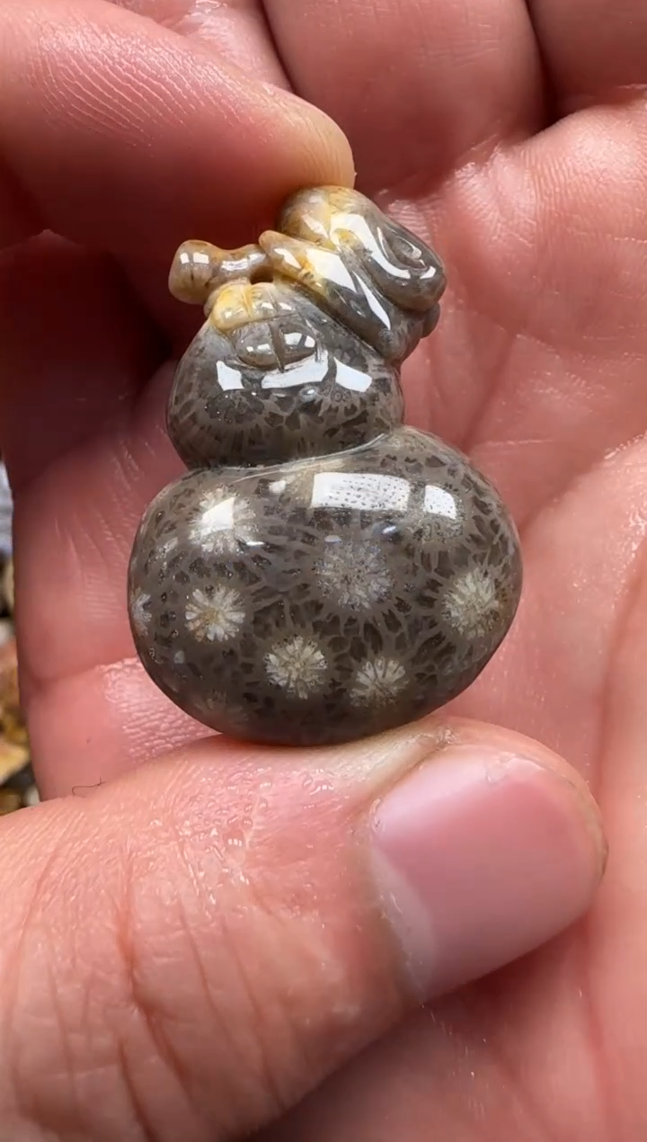 【闪购商品】硅化珊瑚（珊瑚玉）颈饰未镶嵌563