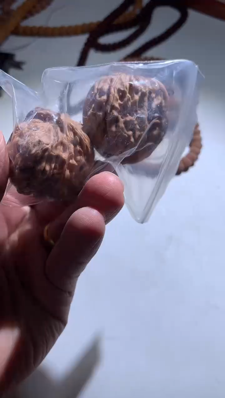 金刚菩提手串6088888888