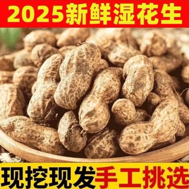 新鲜现挖带壳湿花生可水煮生吃农家自种香甜可口