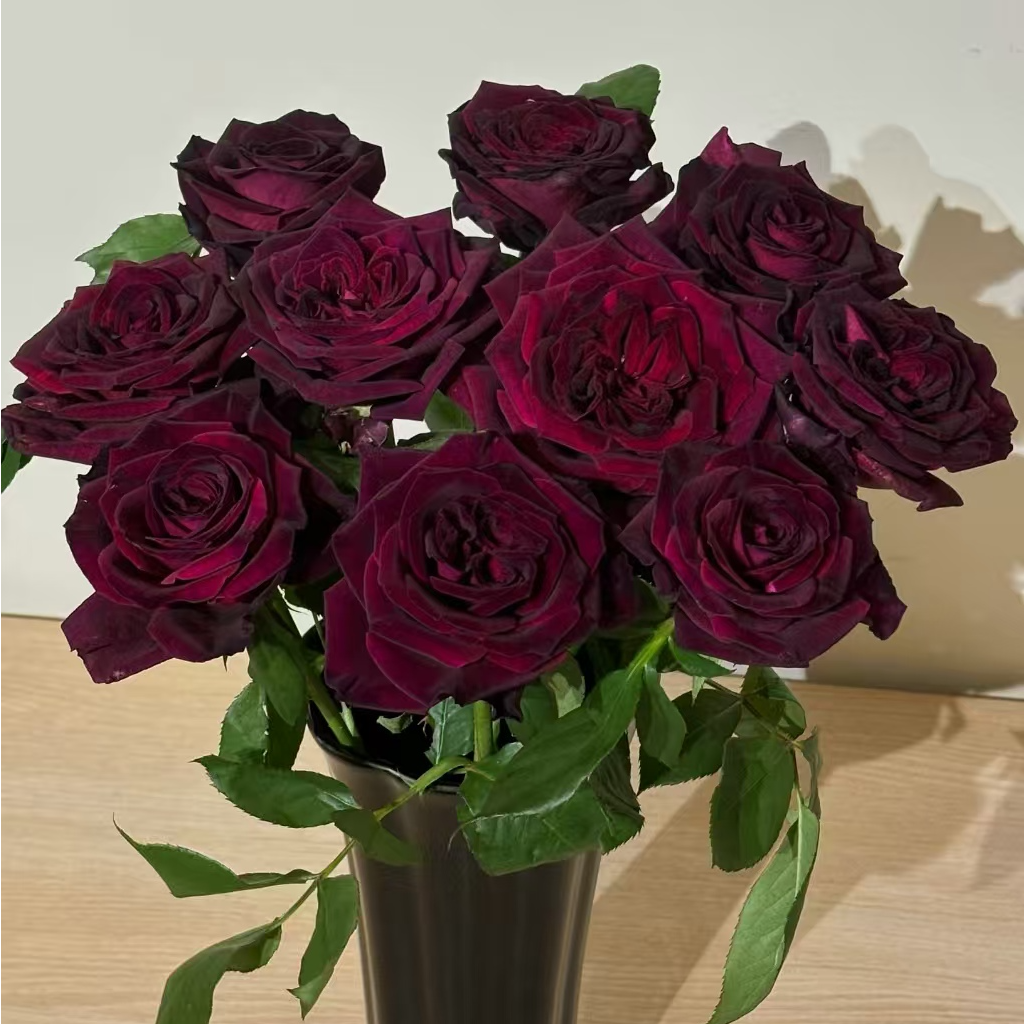 【独鬏鬏优选】云南鲜花 [暗香] 稀有玫瑰 丝绒质感 高级且香