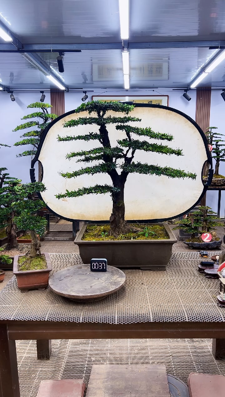 【闪购商品】00000000