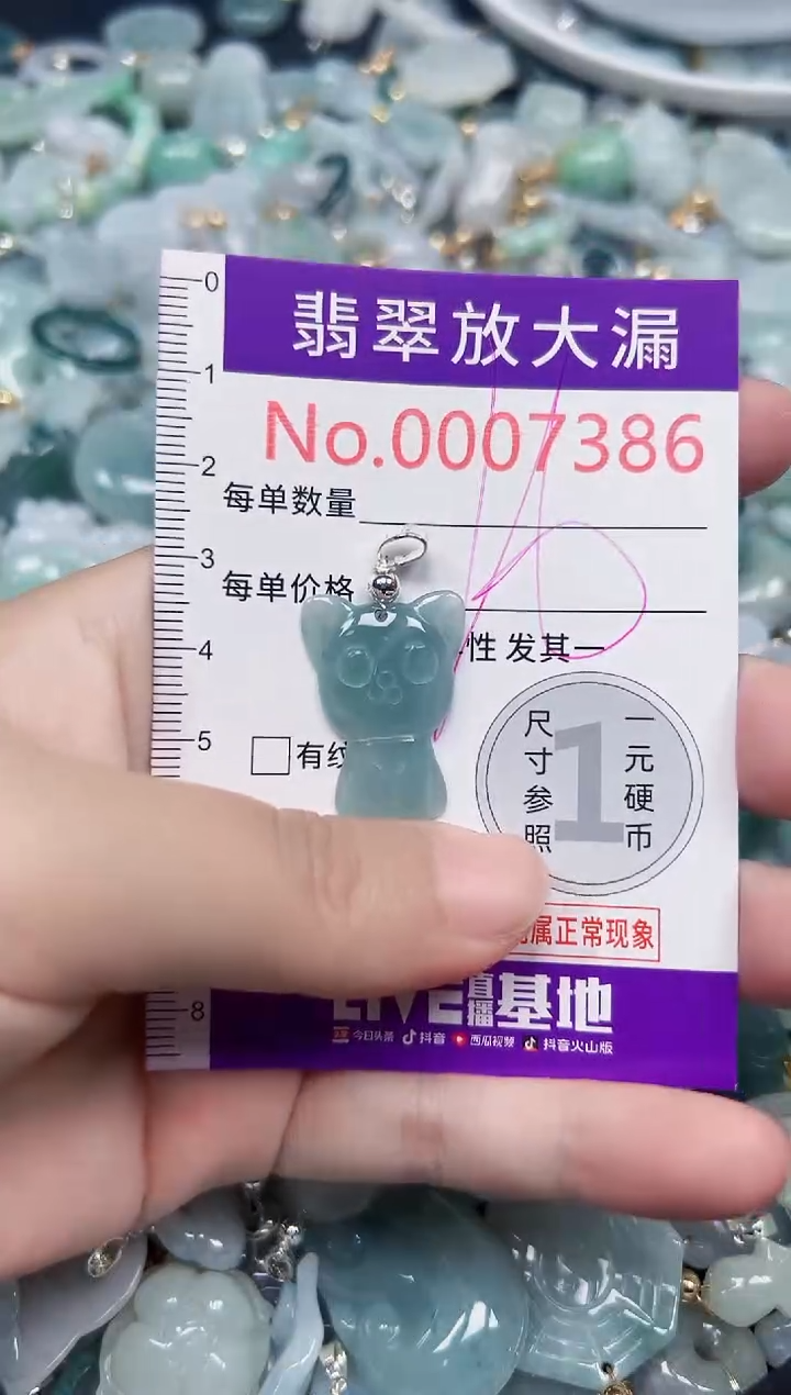 颈饰未镶嵌翡翠7386