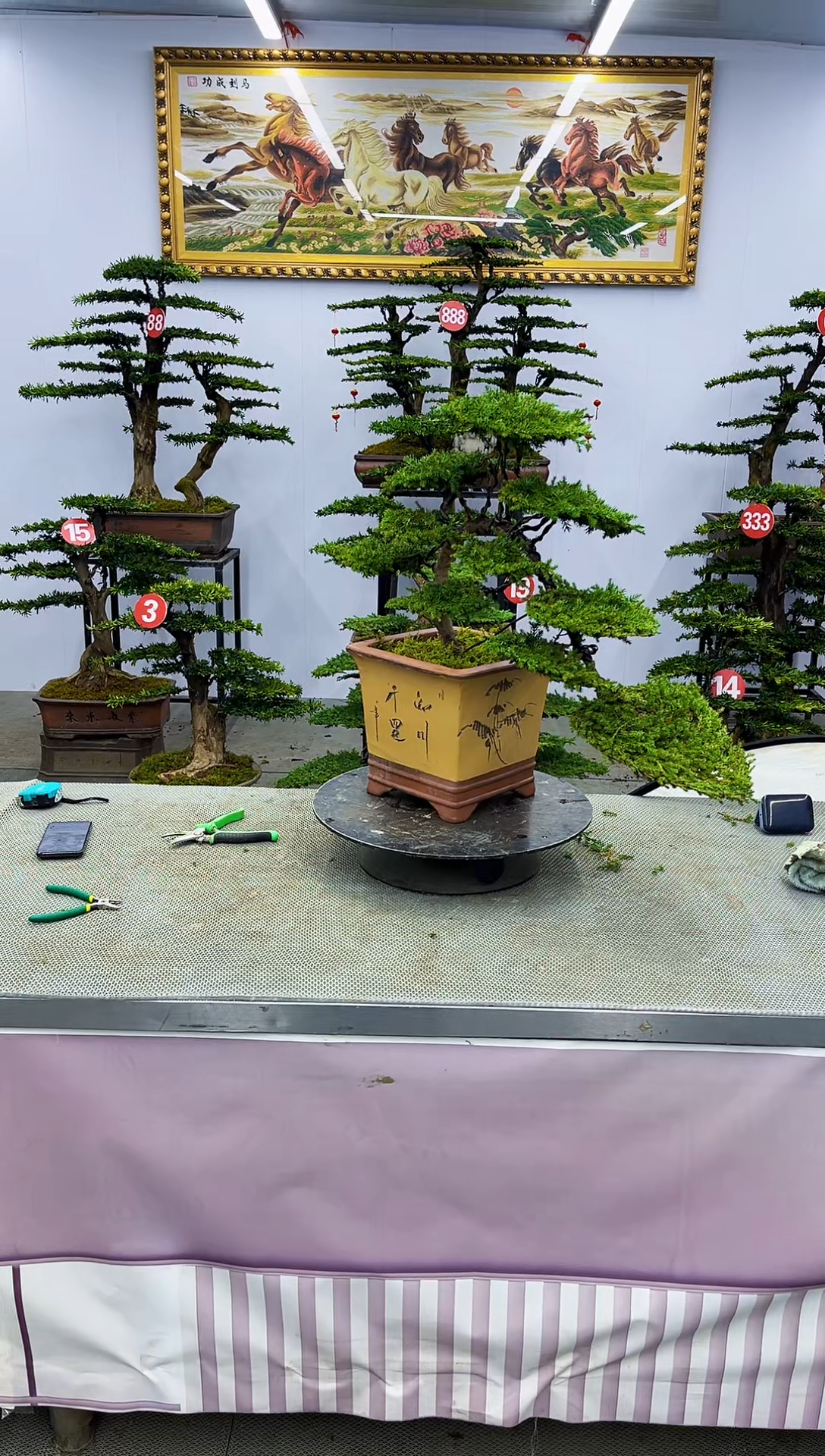 【闪购商品】一物一拍，所见即所得一物一拍，所见即所得