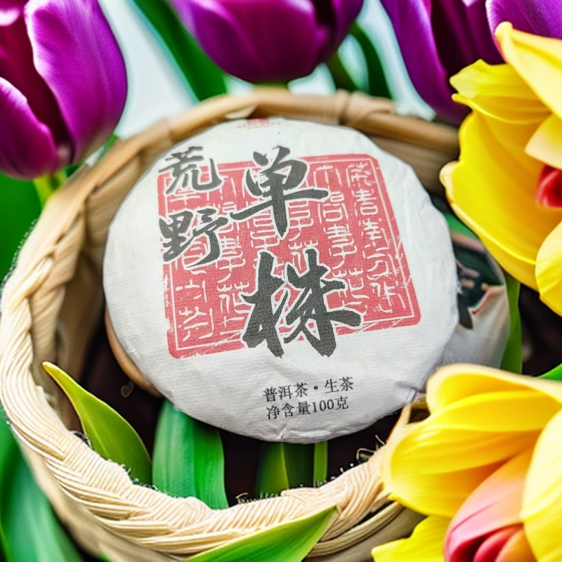 【荒野单珠】2025头春兰花香兰花韵香气高扬