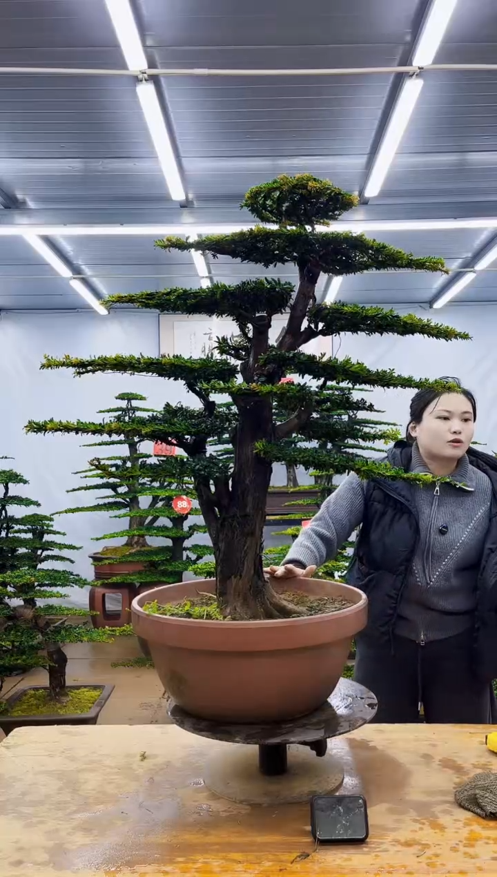 无花朵一物一拍，所见即所得