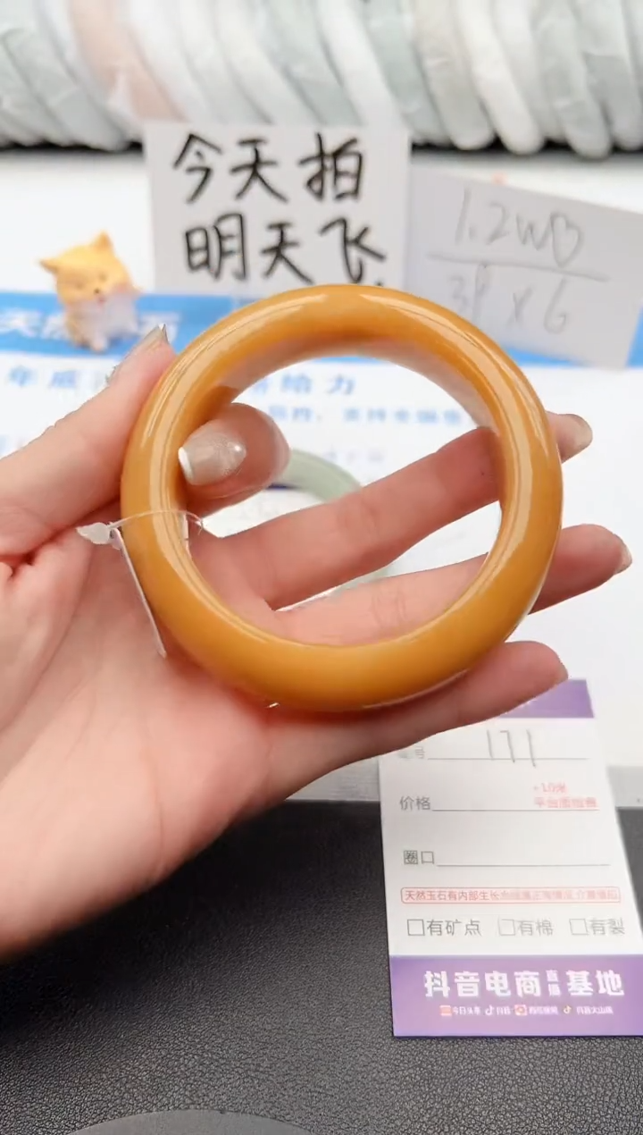 【闪购商品】石英质玉手镯未镶嵌j171-H59.3