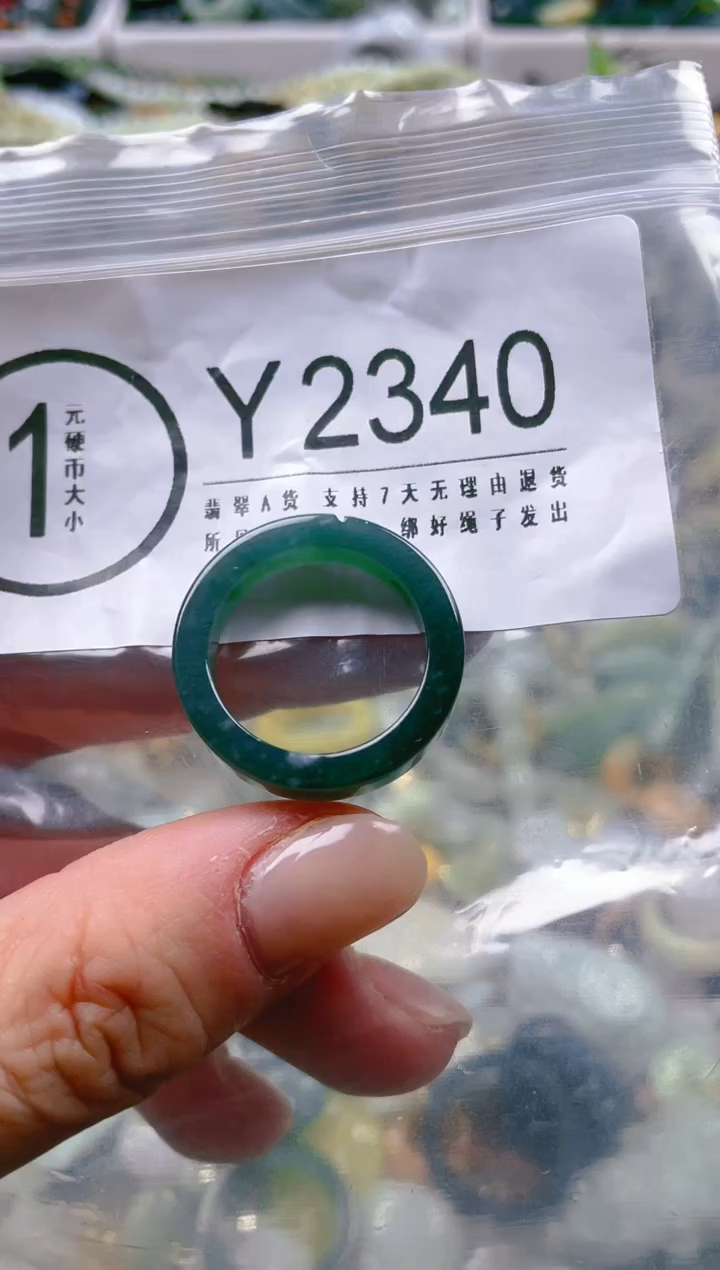 【闪购商品】翡翠颈饰未镶嵌/Y/翡翠A货一图一物