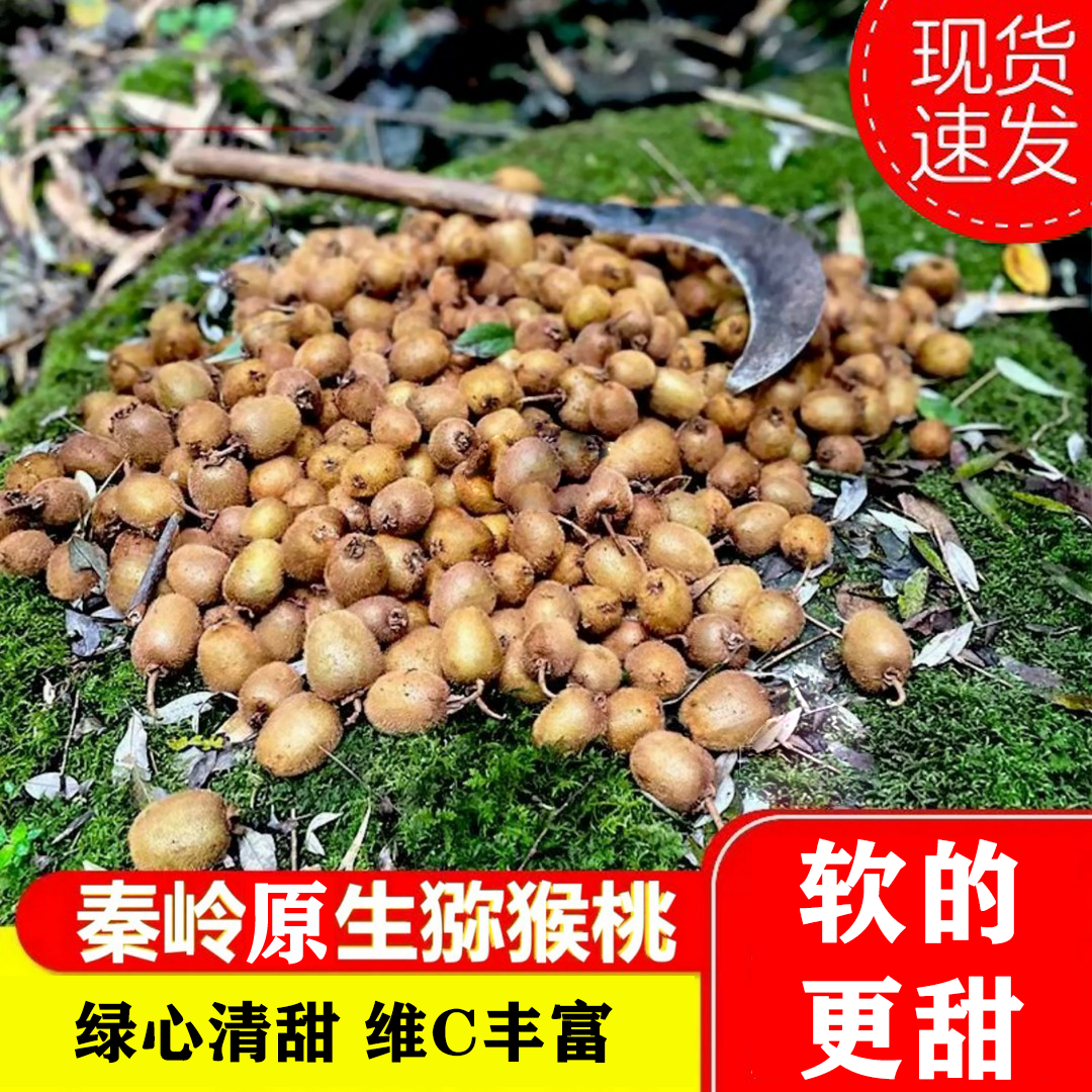 陕西秦岭正宗野珍猕猴桃水果绿心奇异果泡酒迷糊桃新鲜现摘现发