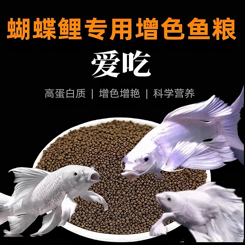 高蛋白鱼粮50克