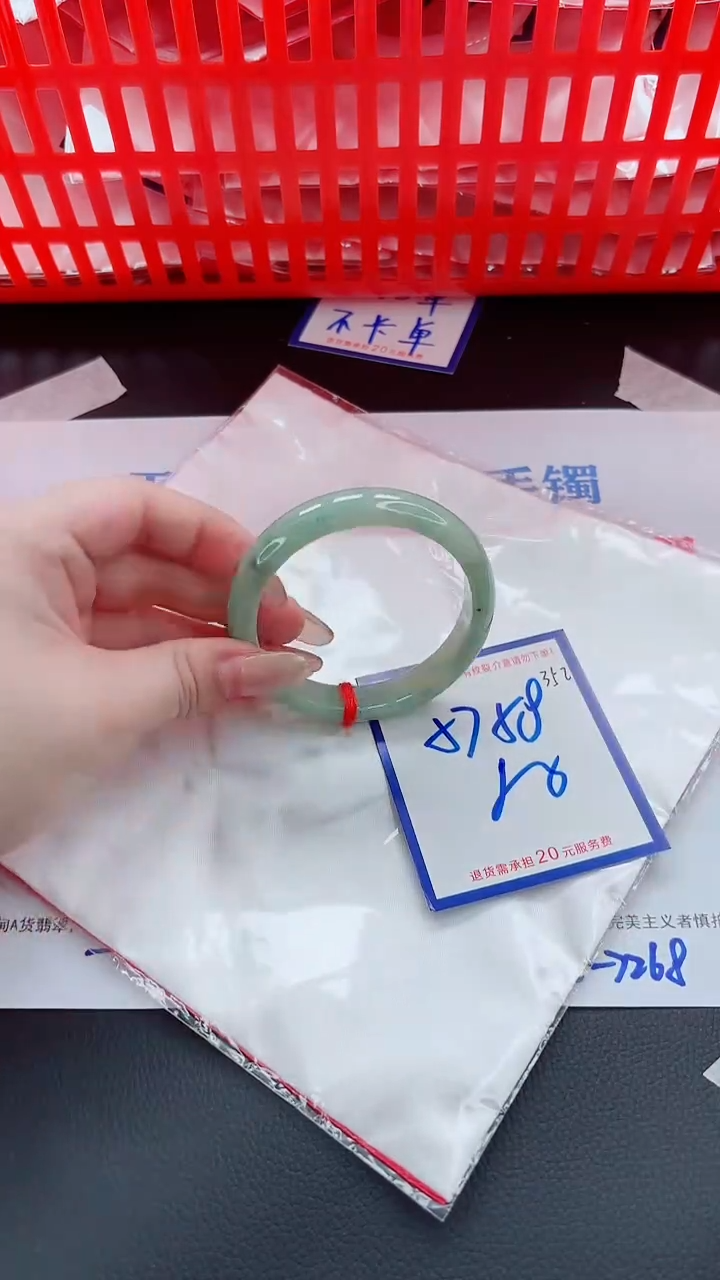 未镶嵌手镯翡翠11111111