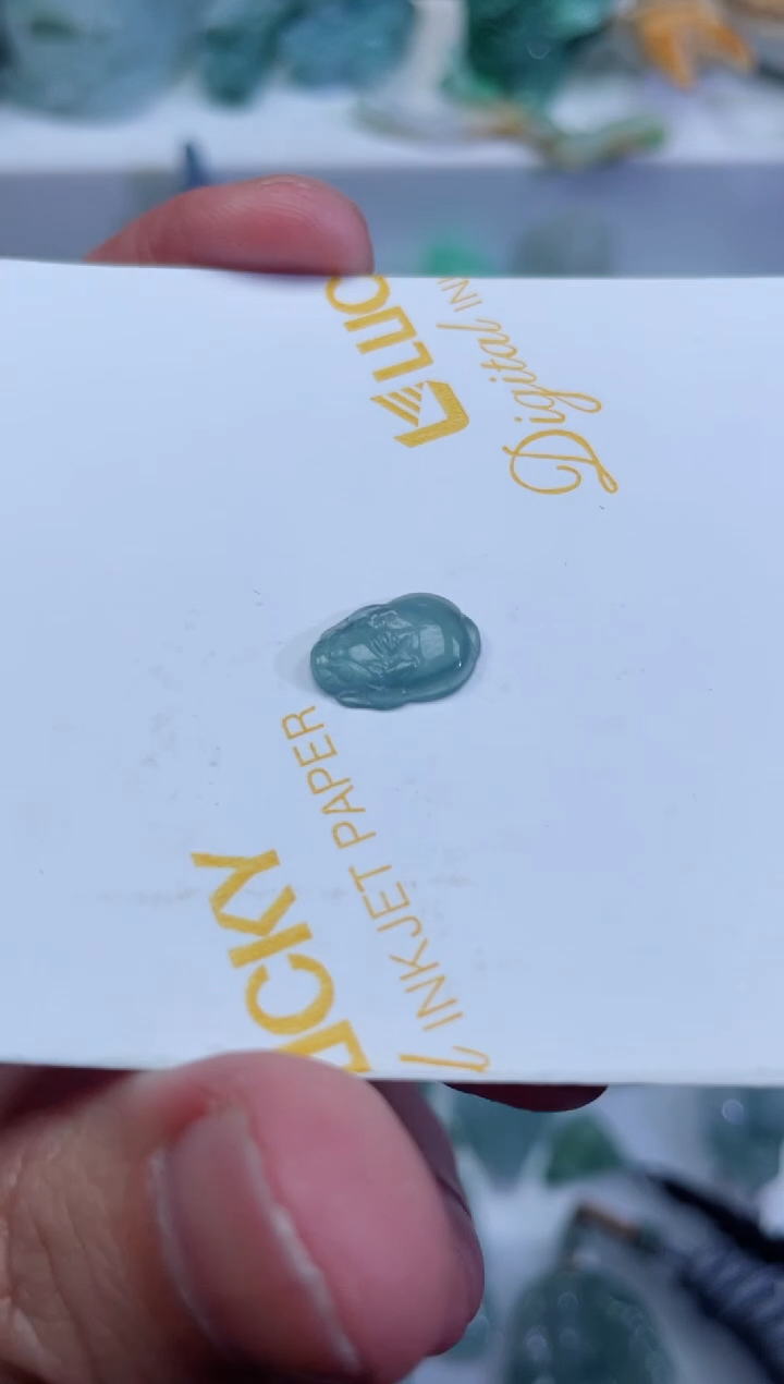 【闪购商品】翡翠颈饰未镶嵌貔貅