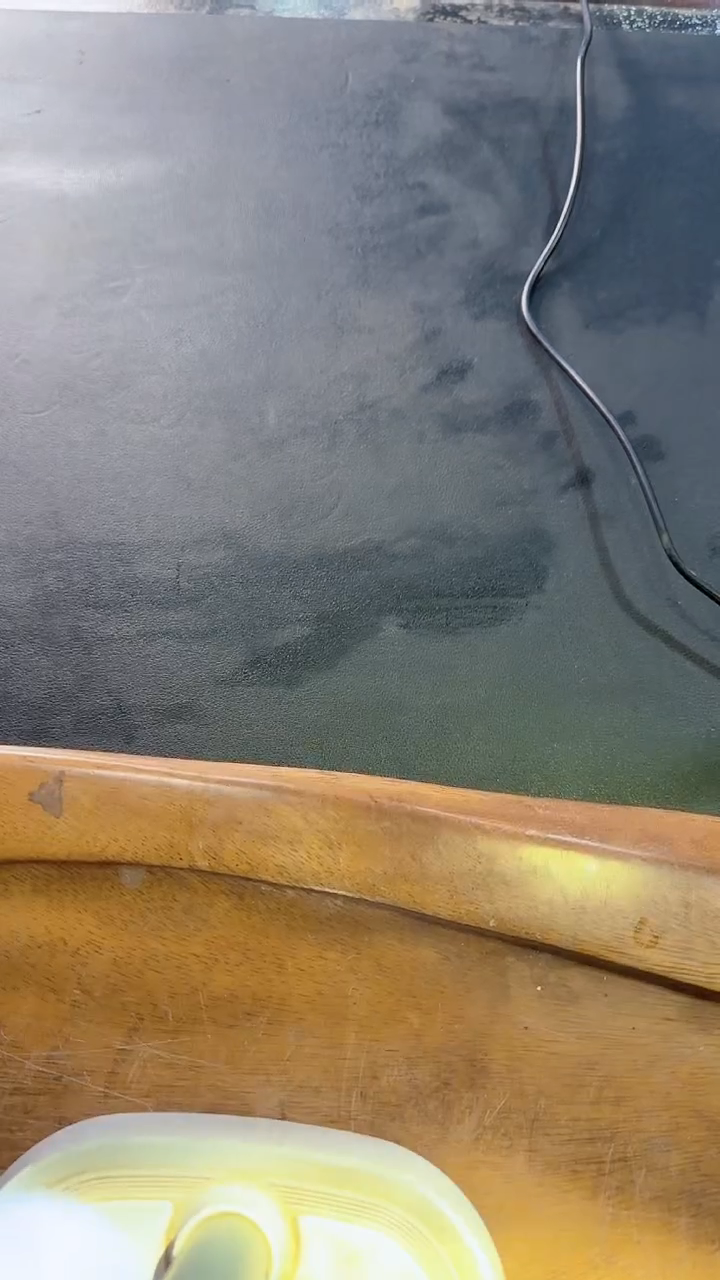 【闪购商品】茶盏科研院院长杨飞燕（咨询链接）勿拍