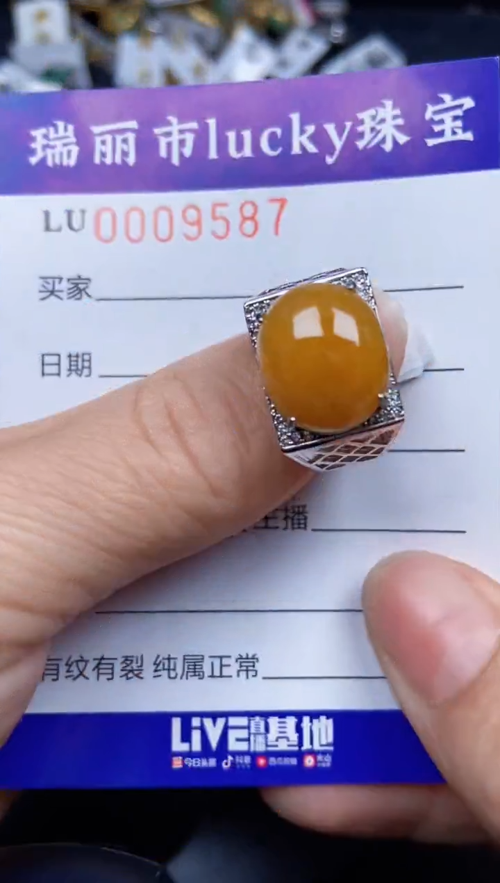 【闪购商品】翡翠颈饰银S925镶嵌9587