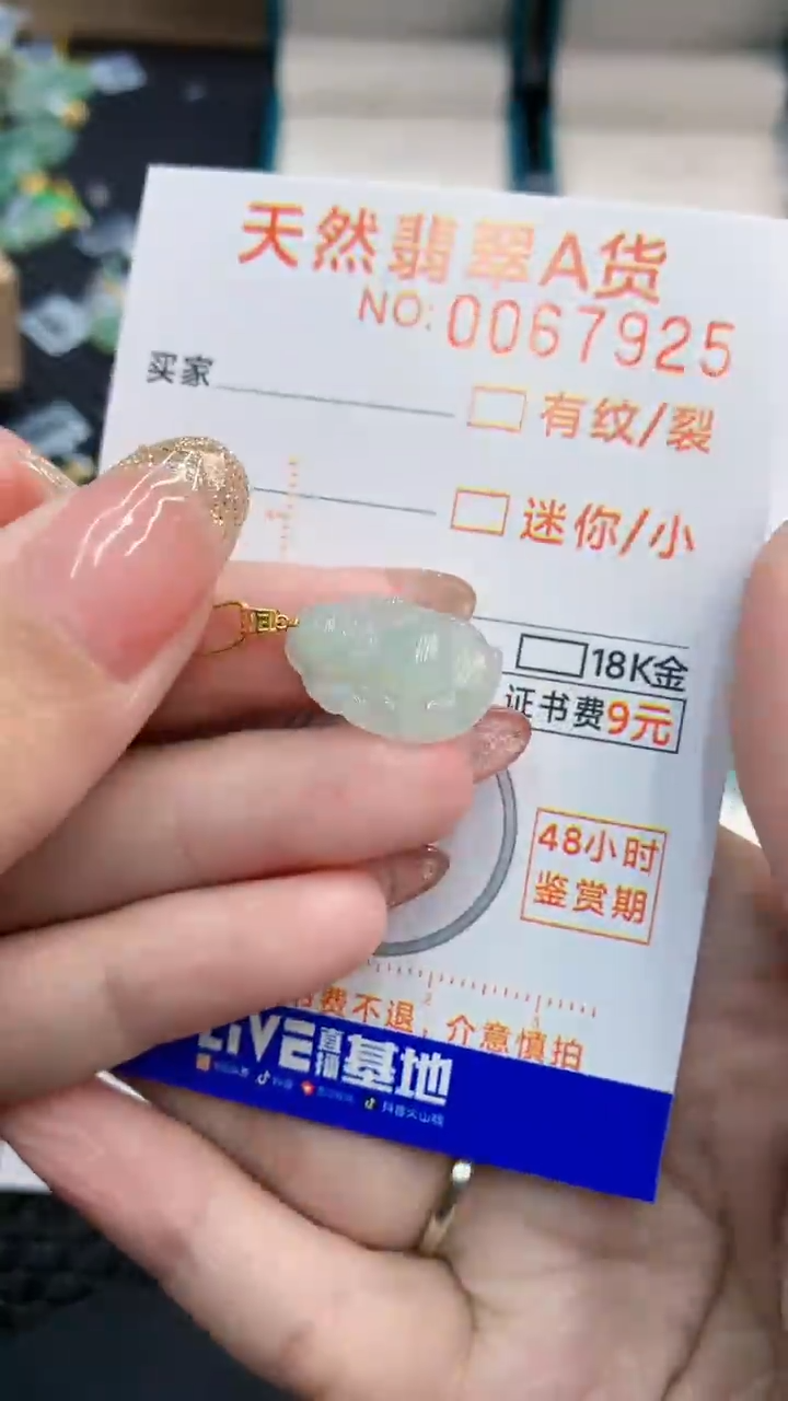 【闪购商品】翡翠18K金镶嵌颈饰            8