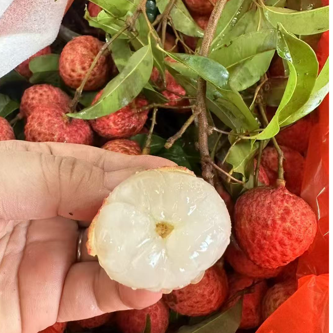 糯米滋小籽荔枝一斤 9.9元，2斤起拍广东