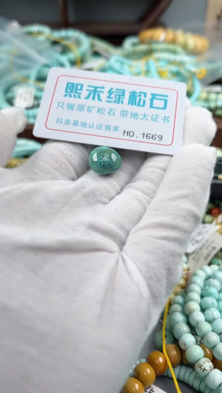 未镶嵌绿松石松石1669